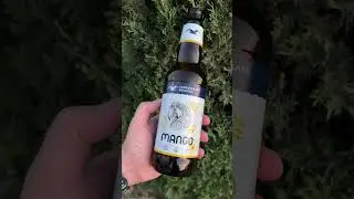 MANGO | Gorkovskaya Brewery  #пиво  #еда #beer #обзор #shorts #shortsvideo