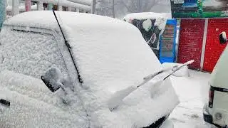 Brown Boy || Galiyat || Snow Fall