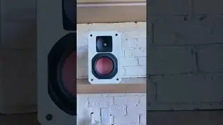 Custom bookshelf speaker for TV sound