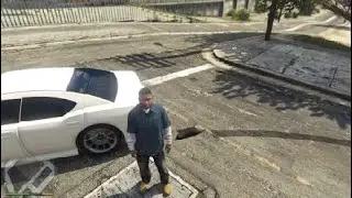 Grand Theft Auto V katze überfahren ?