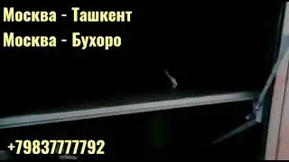 россия_узбекистан #автобус #узбекистан #москва #россия +79683220008