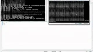 Selenium Remote Control (RC)