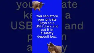 What is Bitcoin Cold Storage? (Explained by Squirrels)