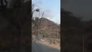 ON THE WAY TO 