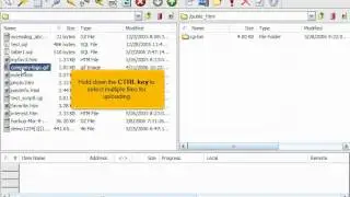FTP - Uploading Files using CuteFTP