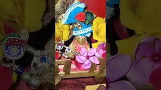 Kanha Kanha 🦚🌼 #shorts #ytshorts #kanha #radheradhe #kanhaiya #laddugopal #peace #trendingshorts