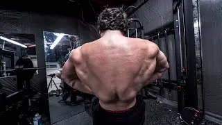BENCH PR | BULK PR | GOING BEAR MODE