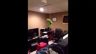 Baby_Moon22 Back At It