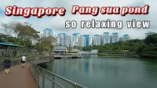 SINGAPORE PANG SUA POND IS SO RELAXING AND BEAUTIFUL @BUKIT PANJANG | A LOOK AROUND THE AREA