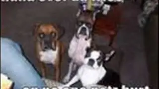 loldogs
