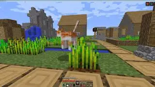 обзор мода (mocreatures mod) в майнкрафт
