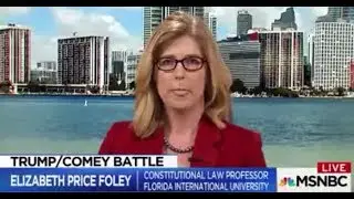 Law Professor CRUSHES Phony Democrat 'Obstruction of Justice' Narrative
