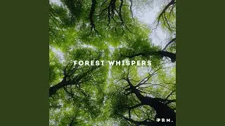 Forest whispers