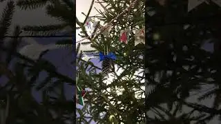 8 января 2023 г.