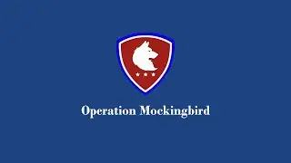 Operation Mockingbird - 1st Dire Operation