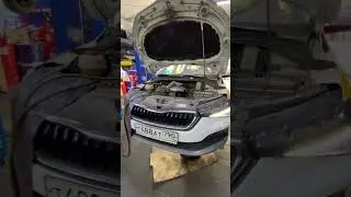 Повторная замена масла в акп Skoda Rapid 