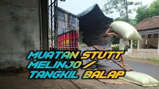 Alasan Kenapa Muatan Tangkil / Melinjo Harus Stutt