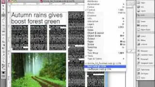 Adobe InDesign - Script/Plug-In Layout Zone for small newspapers
