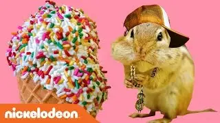ALVINNN!!! And the Chipmunks!!! | The Chipmunks IRL Music Video | Nick
