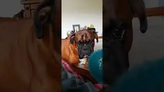 learning to catch a Ball.