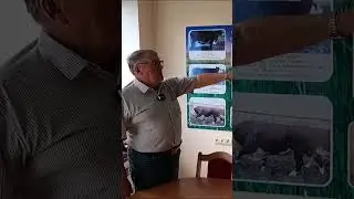 Почему фермеры любят казахскую белоголовую породу КРС?
