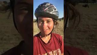 Калмыкские коровы #travel #cycling
