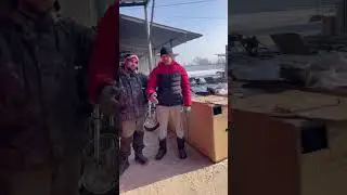 #сборка