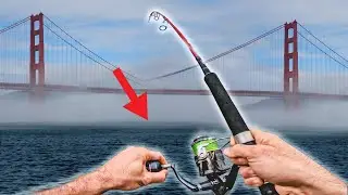 Was lebt unter dieser Brücke? 🇺🇸 NON-STOP #2