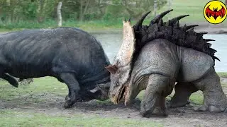 The Creepiest Creatures Ever Spotted in the Congo Jungle