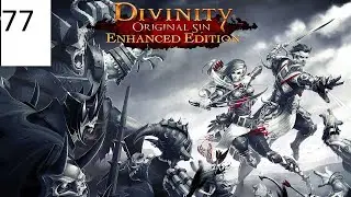 Прохождение Divinity:Original Sin (Enhanced Edition) [2015] #77