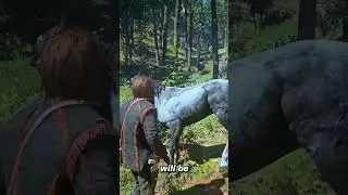 Helping a horse in RDR2 🐴