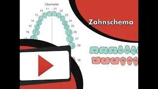 Zahnschema