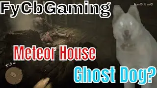 Red Dead Redemption 2 Meteor house w/ ghost dog? Abandoned trading post with hidden floor .