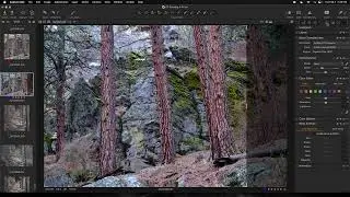 Finding Fuji X-T5 Gold in Capture One | Capture One Tips
