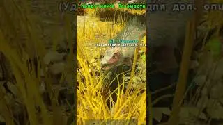 МАЛЕНЬКИЕ ВОРЮГИ! / ARK 