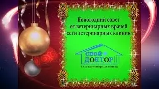 Ветеринарная клиника "Свой Доктор" Новогодний совет от ветеринарных врачей