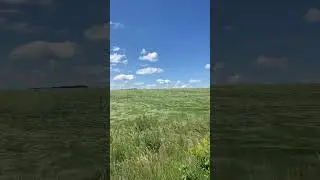 Завораживает🌾 #залипательноевидео#природа#красиво