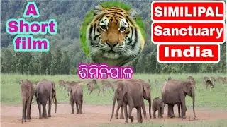 #Similipal Tiger Reserve Video Hd||Documentary Film Simlipal Abhayaranya,Mayurbhanj,Odisha,India
