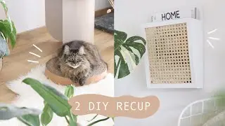 ✂️2 DIY RECUP - Je customise un porte magazine action✂️je fais un grattoir en carton pour mon chat 🐈