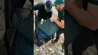 соревнования фидер. результат тура. рыбалка. #feederfishing #фидернаяловля #фидернаярыбалка