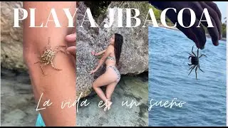 PLAYA JIBACOA, CUBA, MINI VLOG 🧜‍♀️🏖