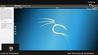 Use the Linux ip Command