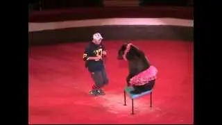«Медвежий калейдоскоп» ukrcircus.com