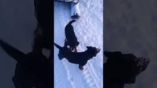 3 марта 2024 г.