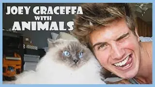 Joey Graceffa with ANIMALS!