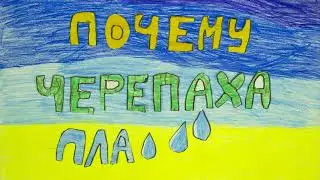 Почему черепахи плачут?