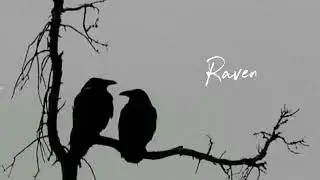 【FREE/フリートラック】