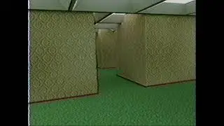 Backrooms Found Footage #1