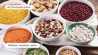 Химический состав растений