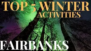 Top 5: Things to do in Fairbanks. Outdoor activities; Alaska winter